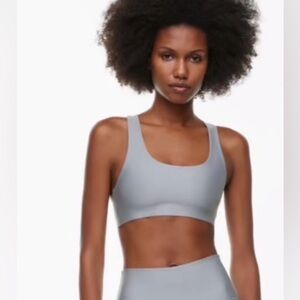 Aritzia Golden Gloss Form Gray Sports Bra